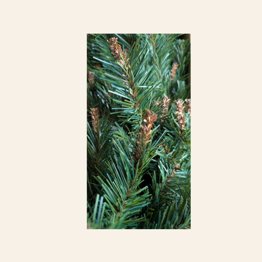 Alps Garland