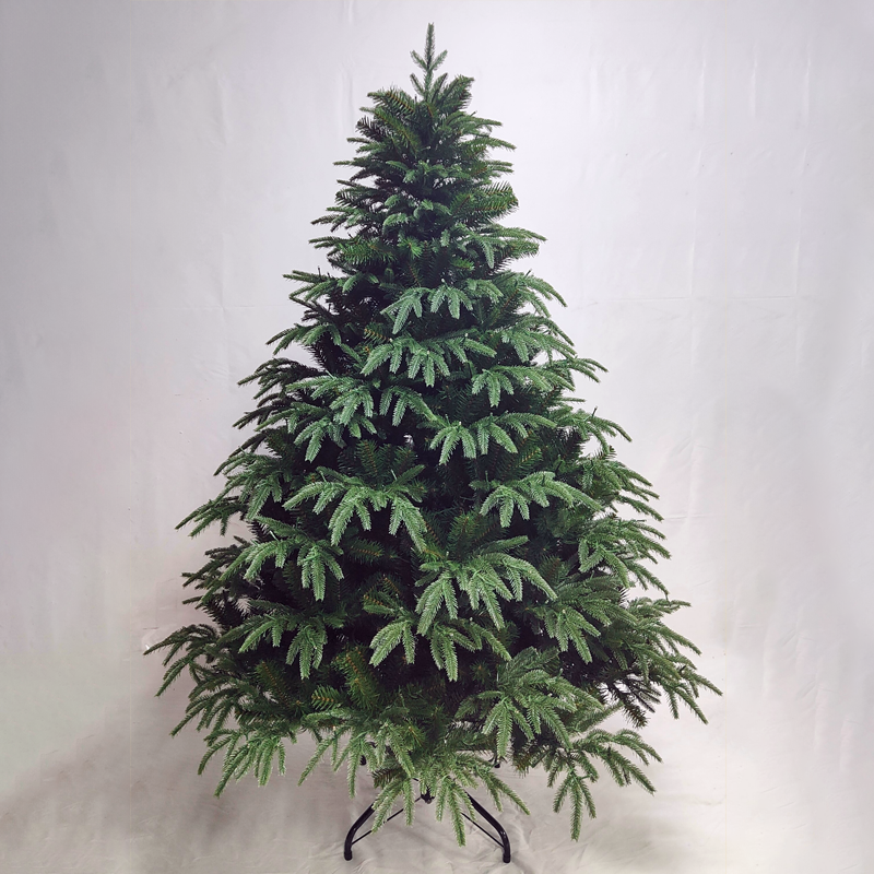 Natural Fir