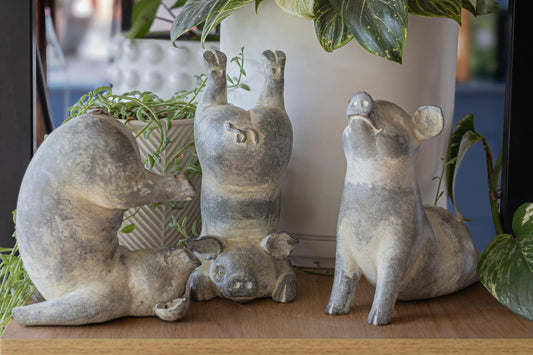 Yoga Pig Cobra Pose displayed on a shelf with other yoga pigs in scorpion and plow poses