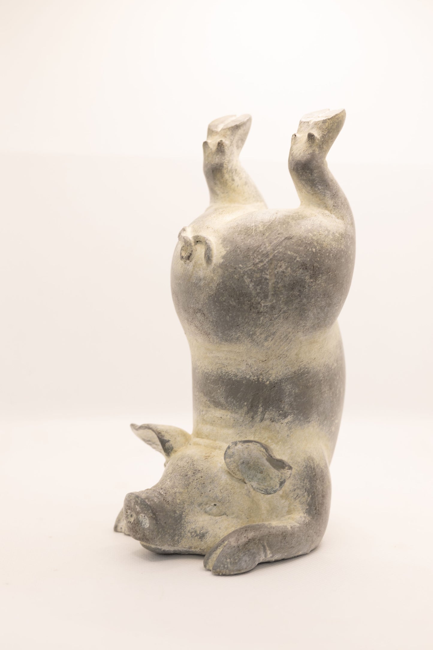 Yoga Pig - Scorpion Pose