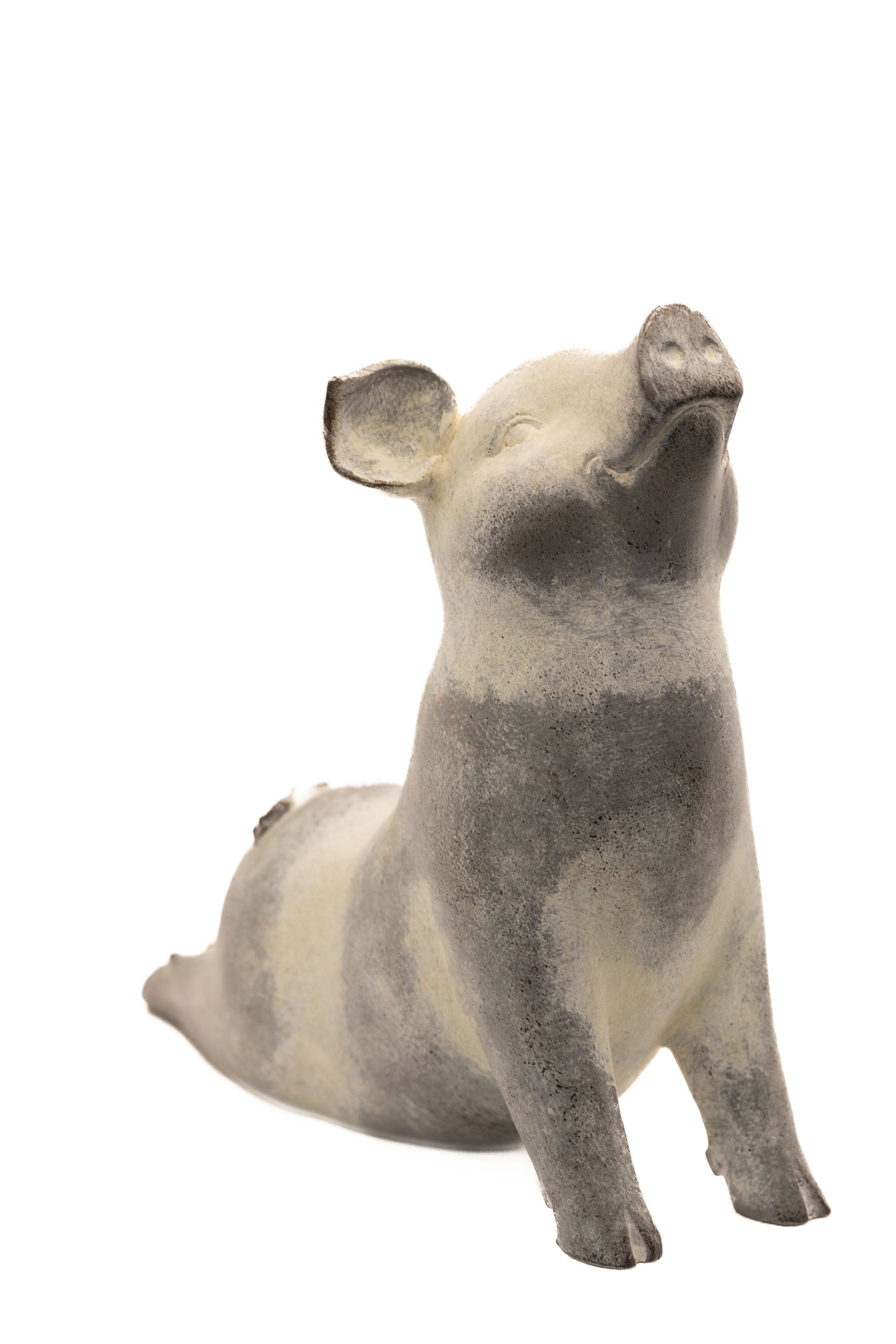 Yoga Pig - Cobra Pose