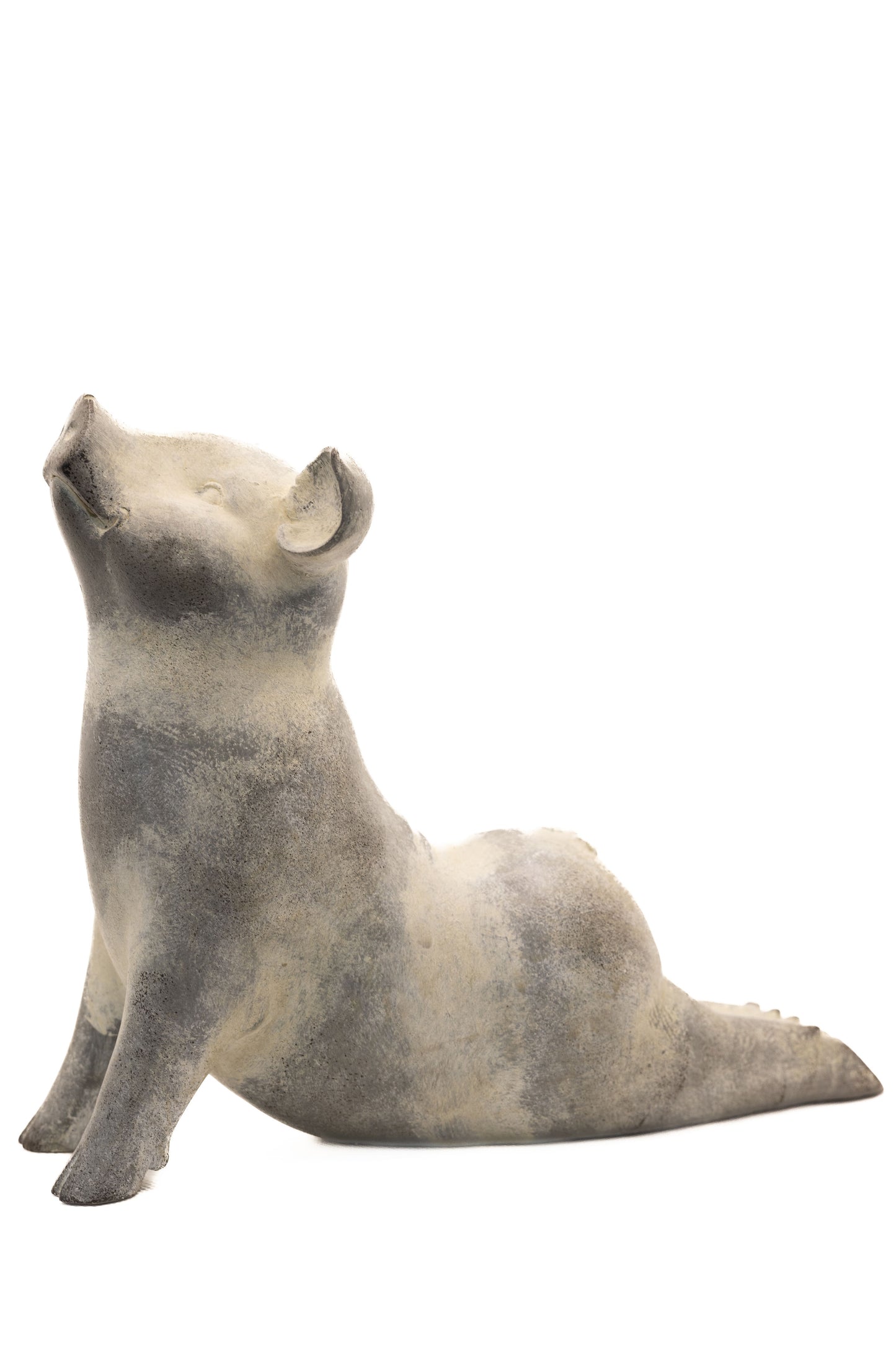 Yoga Pig - Cobra Pose