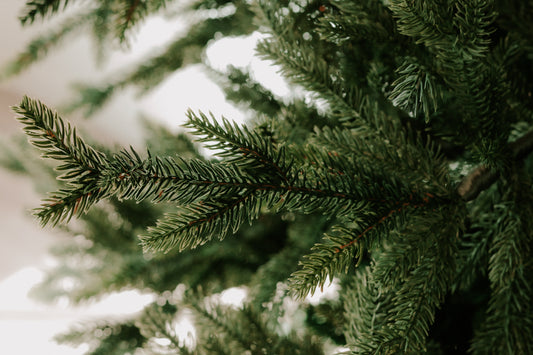 Nordic Fir 6.5ft