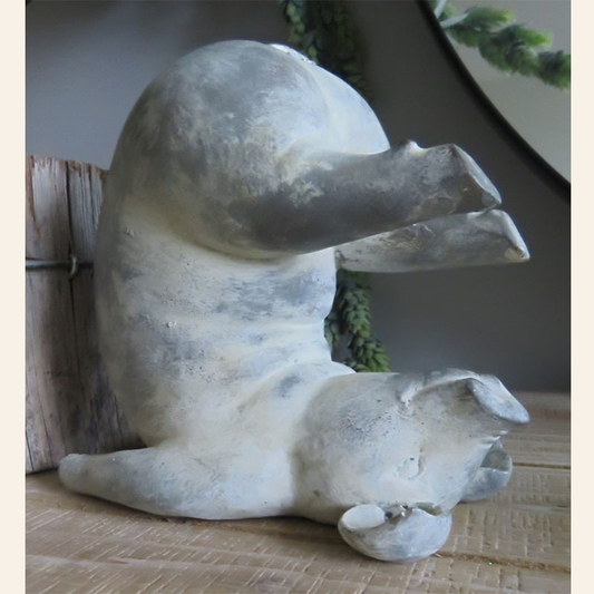 Yoga Pig - Plow Pose