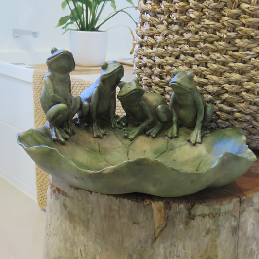 Frogs on lily bowl displayed on a table with plants
